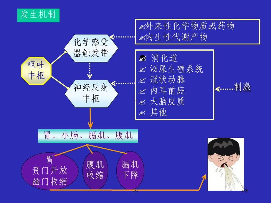 健康评估第2章第2节恶心与呕吐精选课件.ppt_第3页