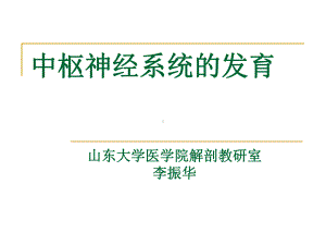 中枢神经系统的发育解析课件.ppt