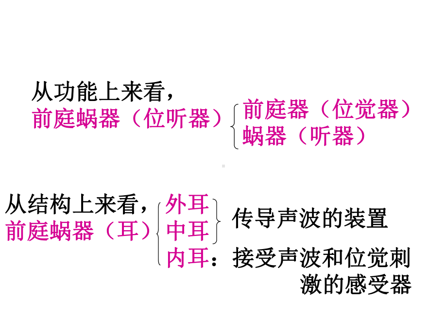 人体解剖学-前庭蜗器详解课件.ppt_第2页