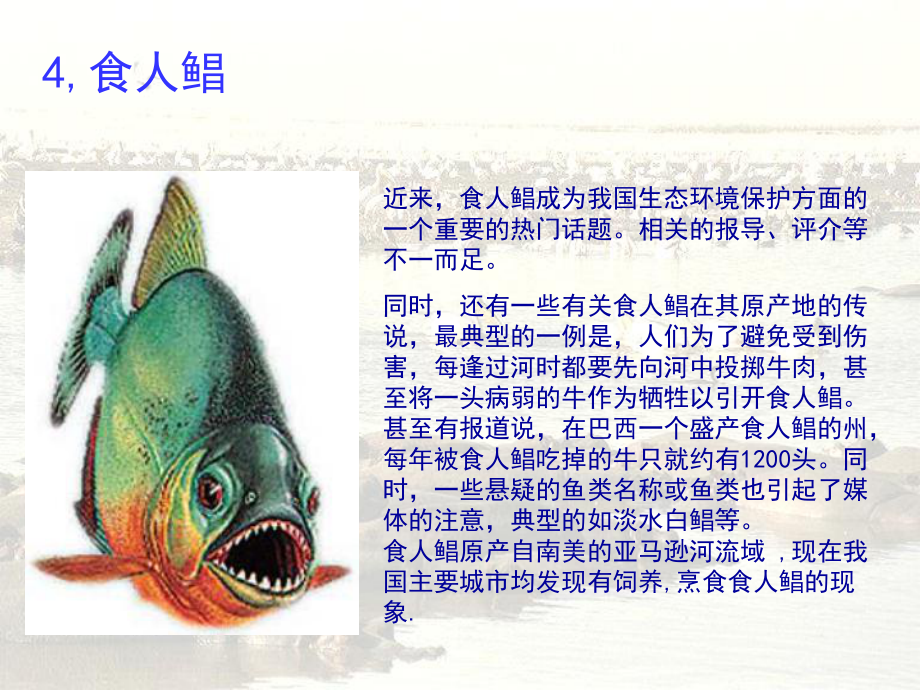 可怕的物种入侵课件.pptx_第3页