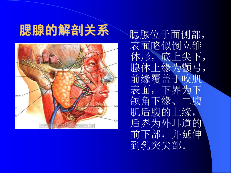 《涎腺肿瘤的诊断和治疗指南》中指出课件.ppt_第2页