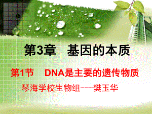 dna是主要的遗传物质课件.ppt