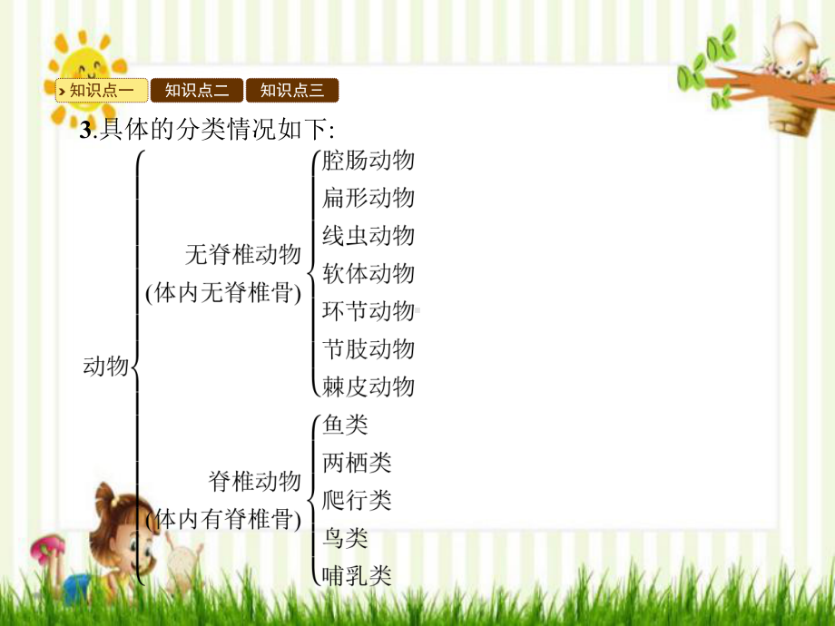 八年级生物下册-第22章-第4节-动物的主要类群课件-新版北师大版.ppt_第3页