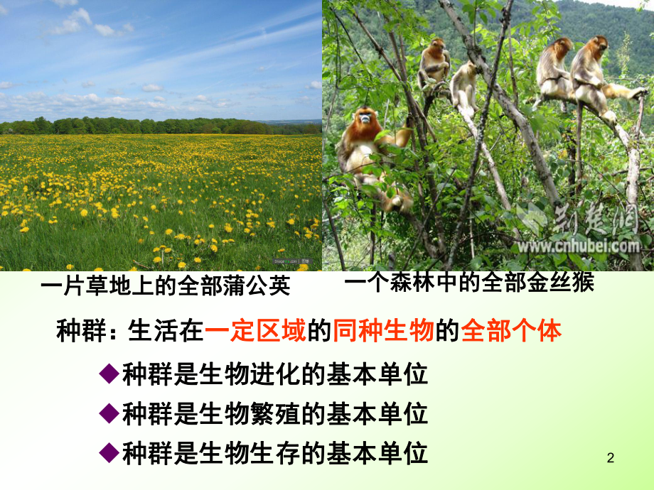 人教版教学课件第一节种群数量特征.ppt_第2页