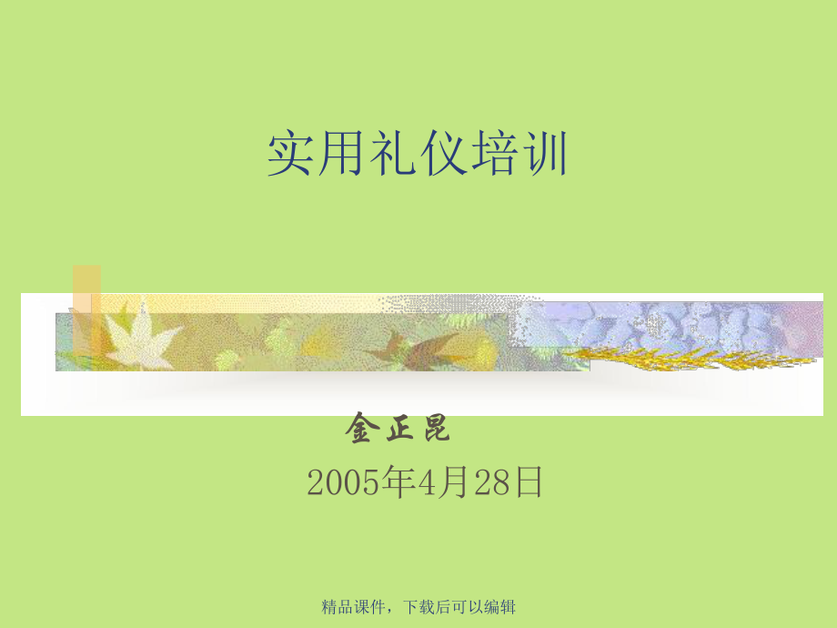 实用礼仪培训3课件.ppt_第1页