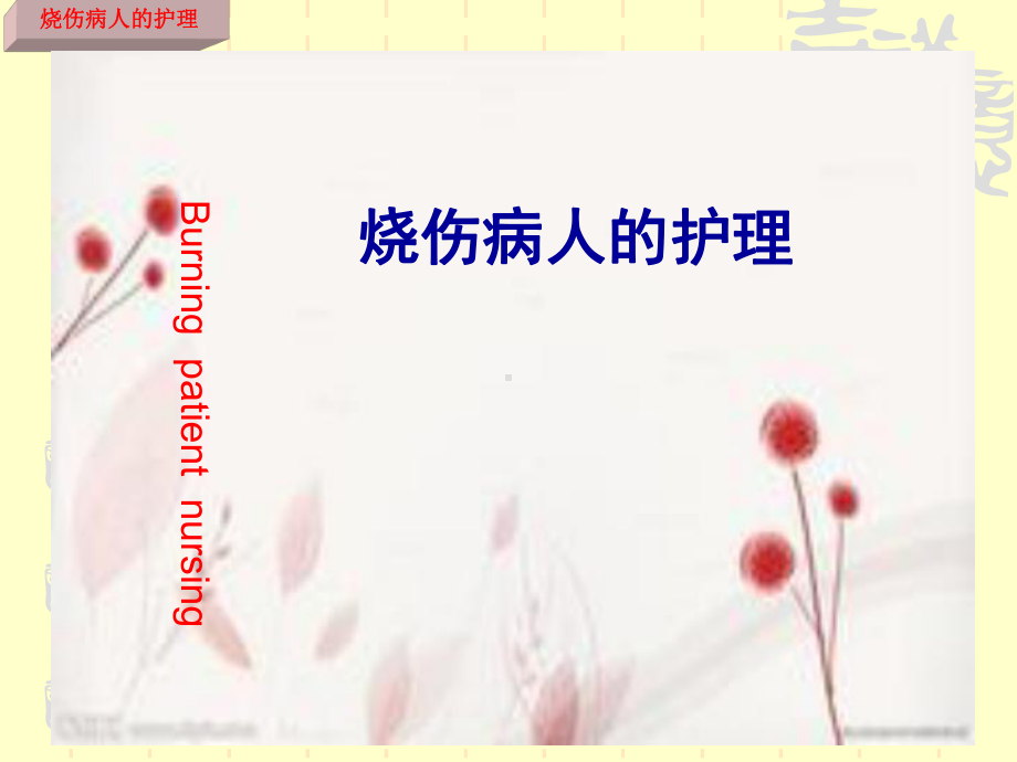 烧伤病人的护理讲课(上课)课件.ppt_第1页