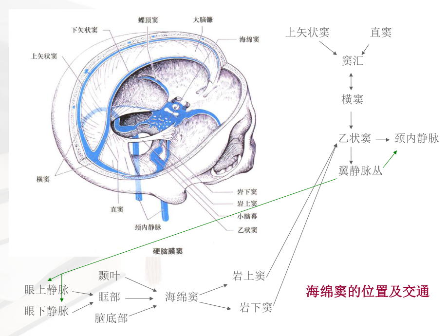 海绵窦综合征、眶上裂综合征及眶尖综合征课件.ppt_第3页