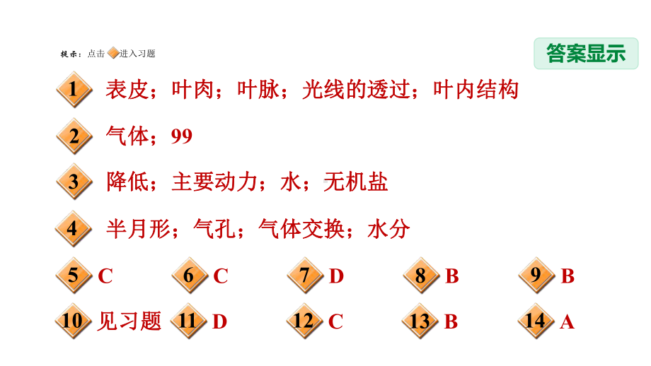 八年级下《植物的叶与蒸腾作用》教学浙教版1课件.ppt_第2页