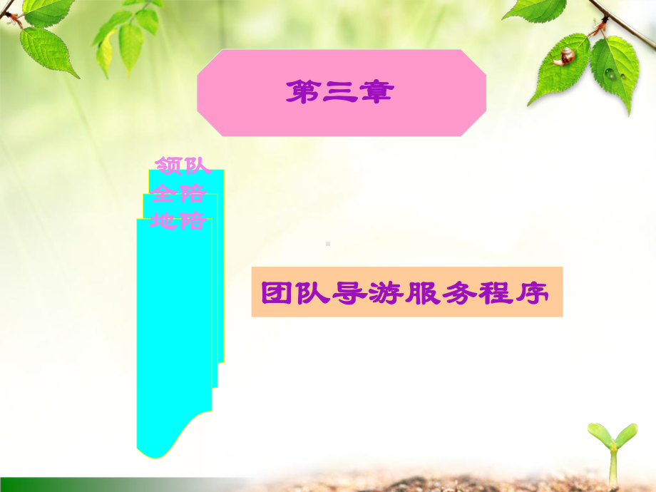 团队导游服务程序课件.ppt_第2页