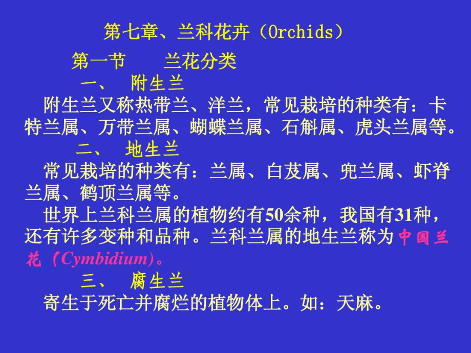 兰花多媒体教学课件.ppt_第2页