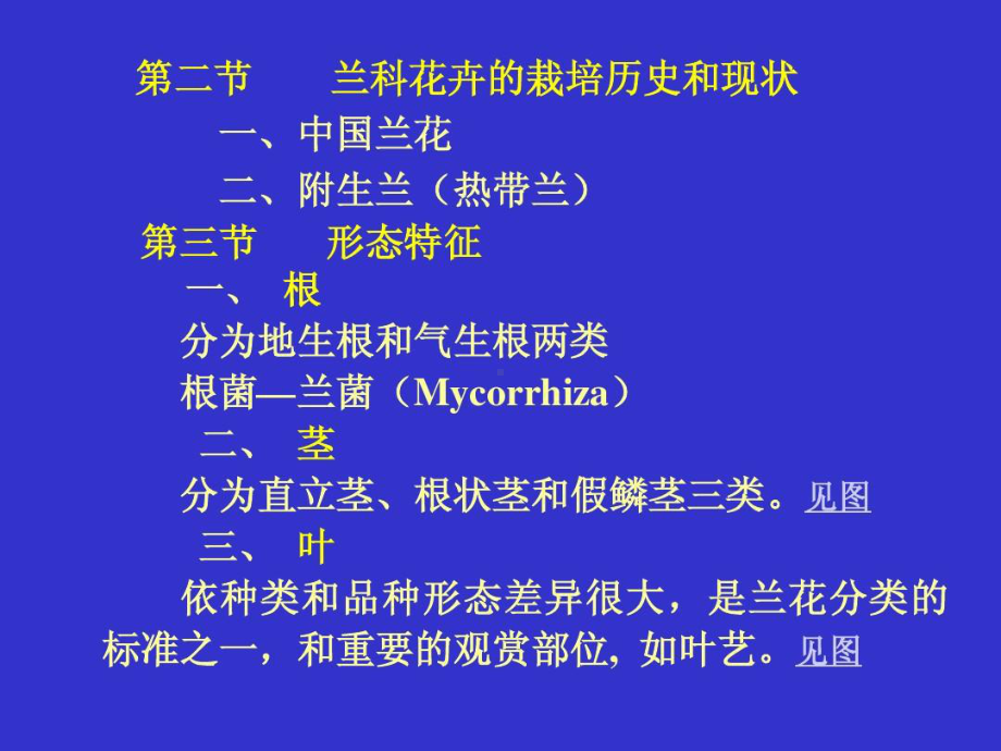 兰花多媒体教学课件.ppt_第3页