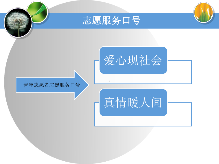 青年志愿者培训课件.ppt_第3页