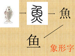 (象形字)口耳目-教学课件.ppt