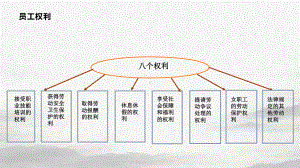 劳动者的权利与义务课件.pptx