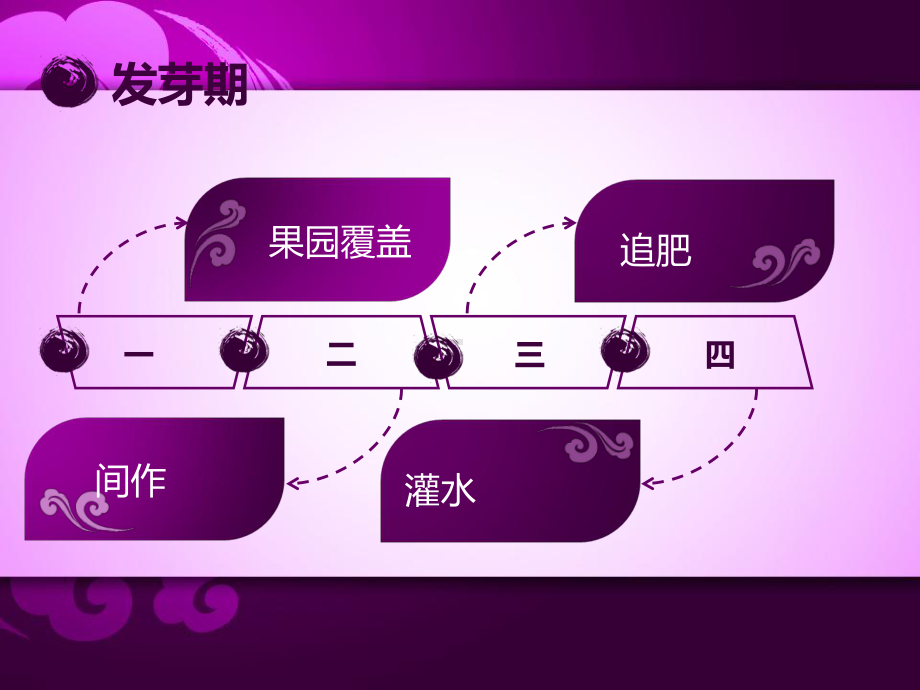 《苹果果园管理》课件.ppt_第3页