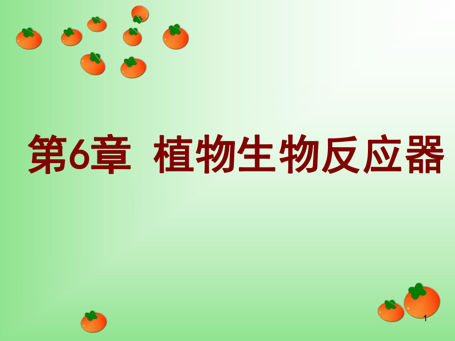 植物生物反应器-课件.ppt_第1页