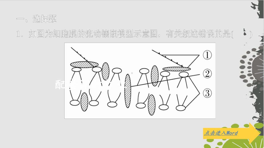 必修1-第二单元-第5讲-配套课时作业课件.ppt_第1页