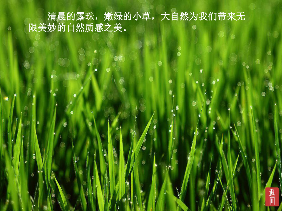 画家笔下的质感课件.ppt_第3页