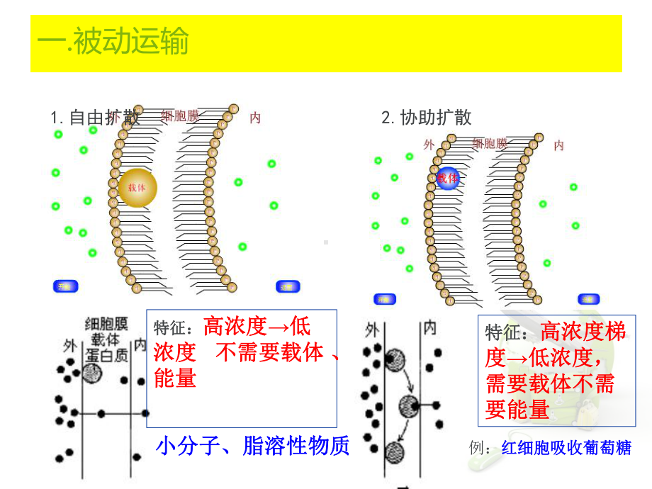 物质跨膜运输的方式(同名670)课件.ppt_第3页