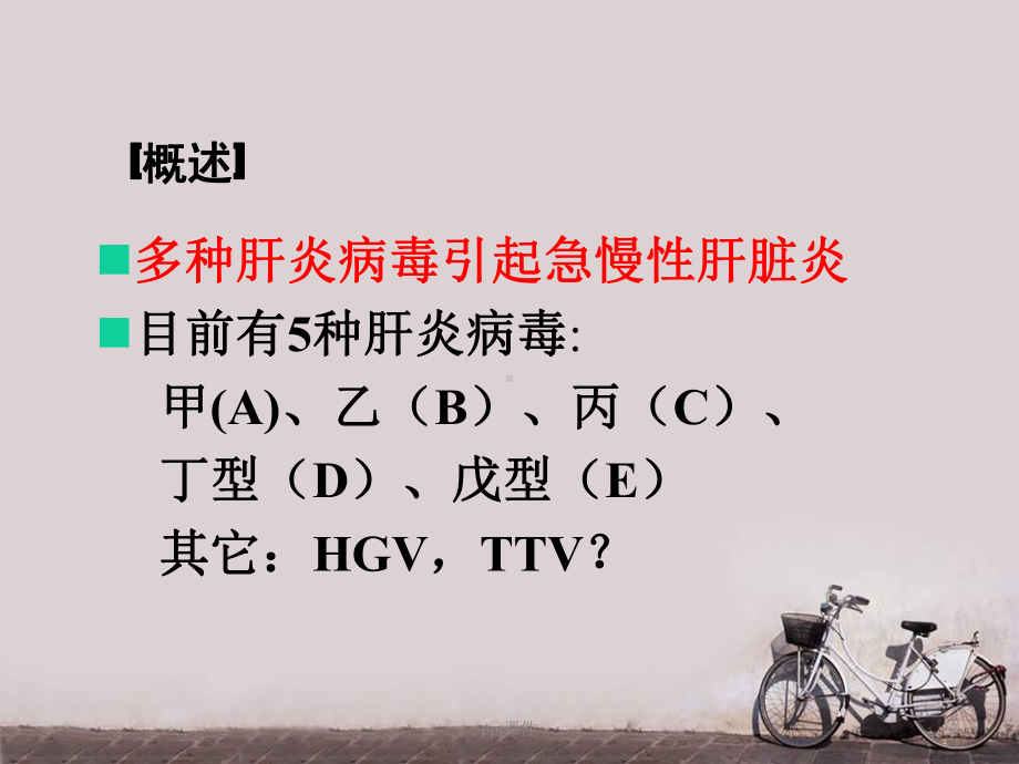 病毒性肝炎病人的护理-课件.ppt_第2页