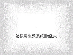 泌尿男生殖系统肿瘤zw课件.ppt