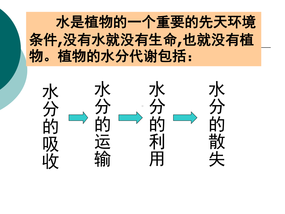 植物的水分代谢解读课件.ppt_第2页