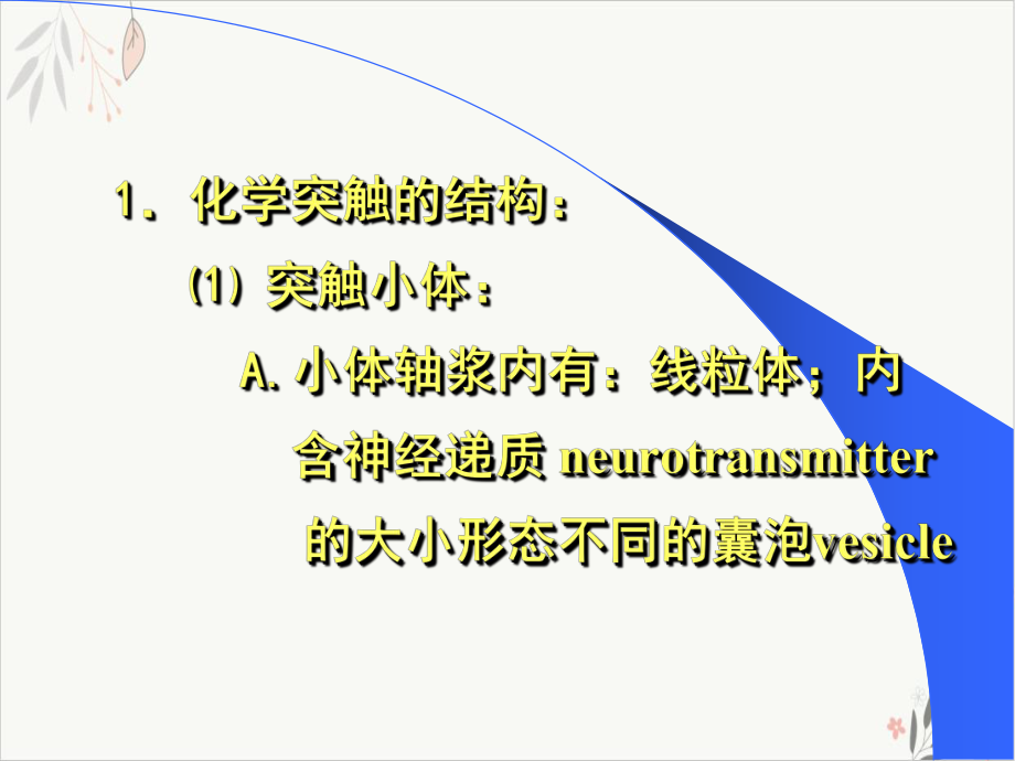 神经元信息传递课件.pptx_第2页