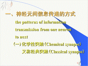 神经元信息传递课件.pptx