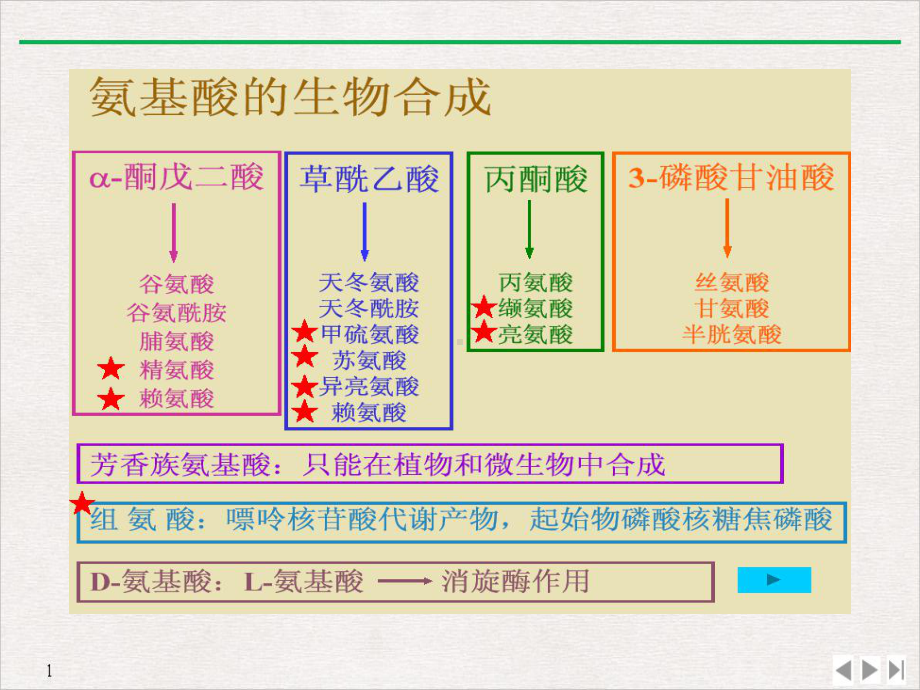 氨基酸蛋白质合成优质推荐课件.pptx_第2页