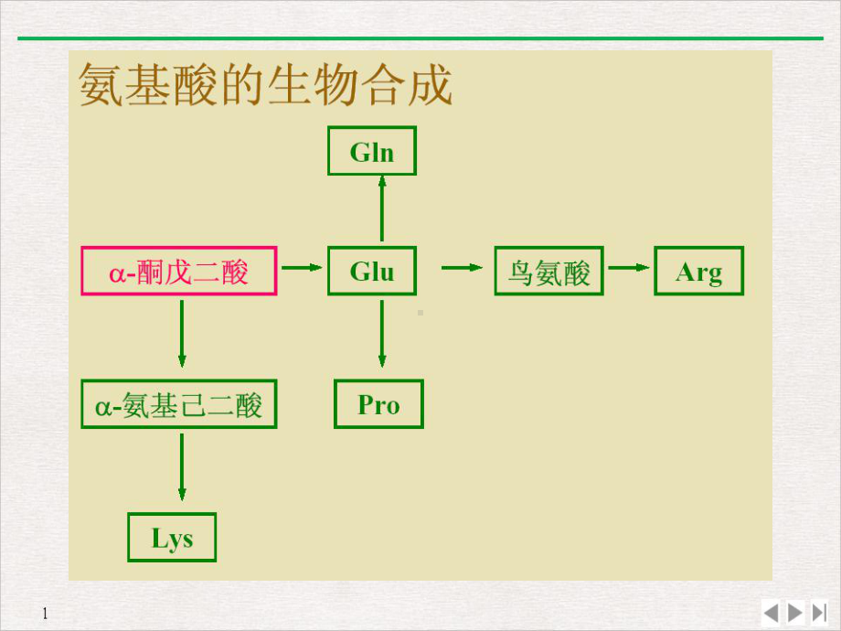 氨基酸蛋白质合成优质推荐课件.pptx_第3页