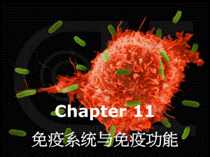 普通生物学-11免疫系统与免疫功能课件.ppt