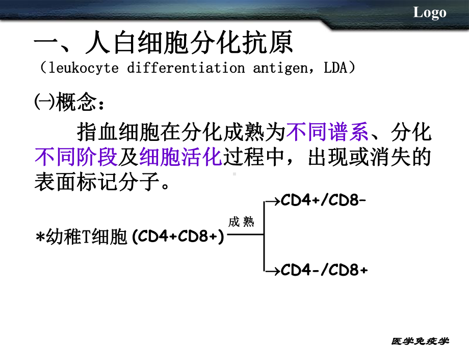 白细胞分化抗原和黏附分MHC课件.ppt_第2页