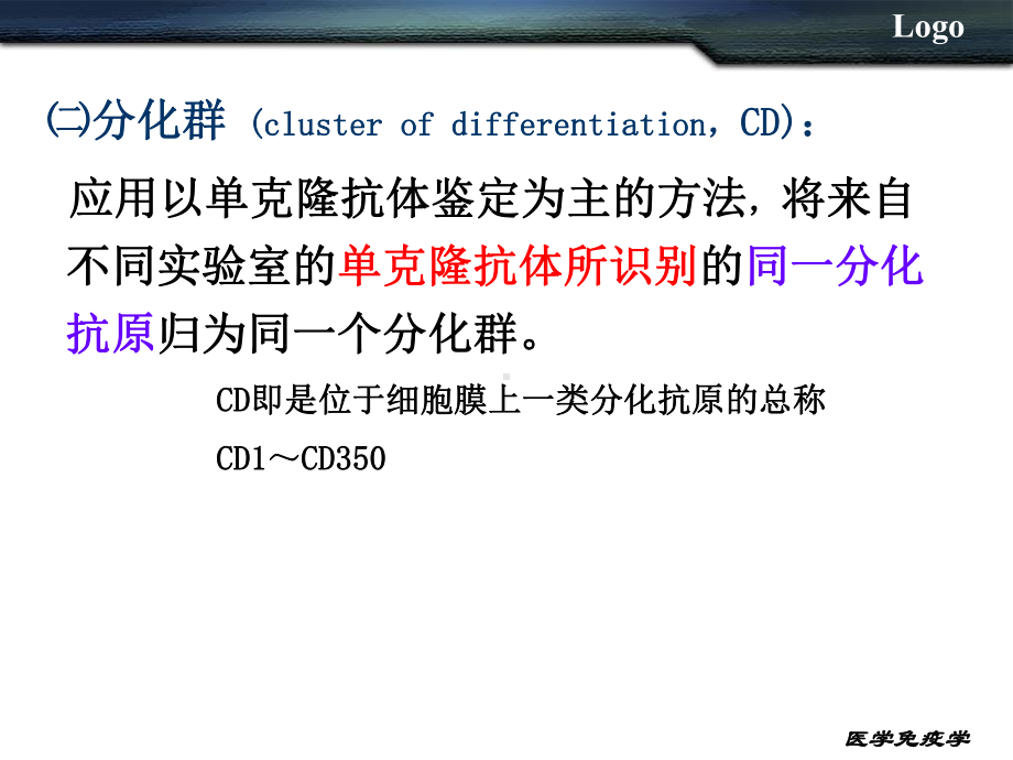 白细胞分化抗原和黏附分MHC课件.ppt_第3页