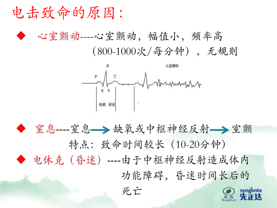 电气安全常识培训课件.ppt_第3页