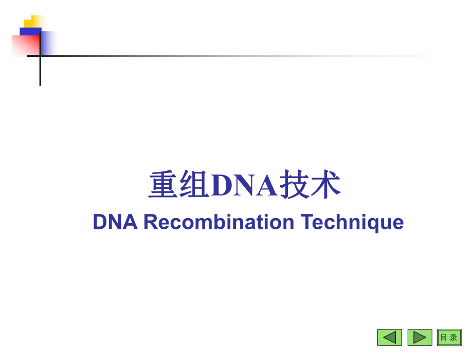 最新基因工程065课件.ppt_第2页