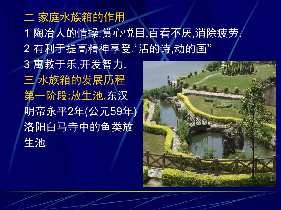 水族箱造景课件.ppt_第3页