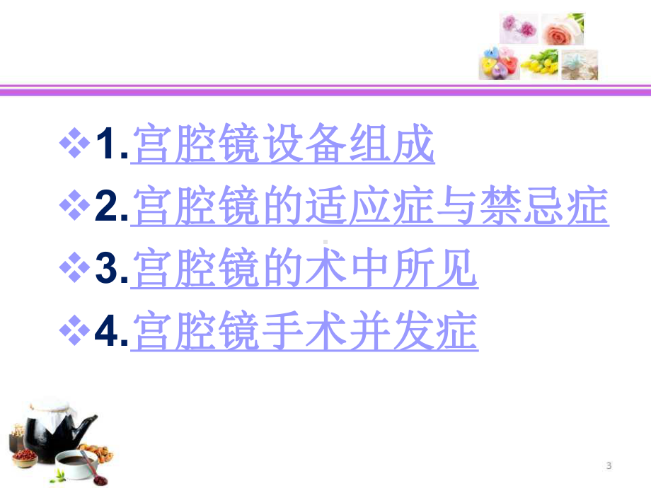 妇科宫腔镜讲座课件.ppt_第3页