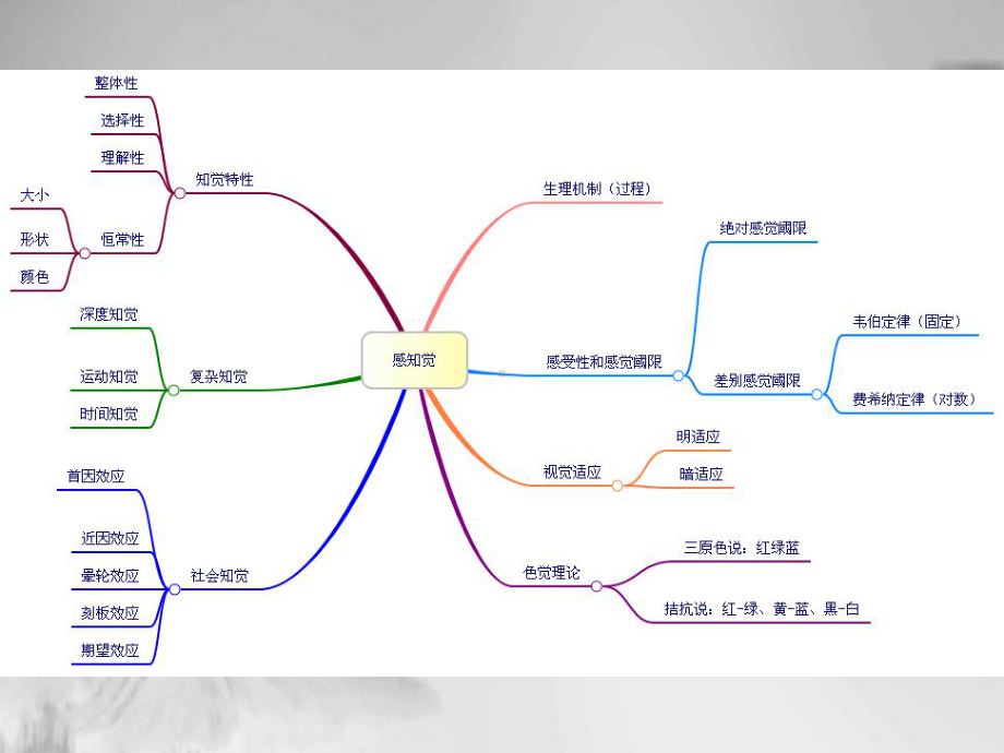 教师资格证心理学复习课件.ppt_第3页