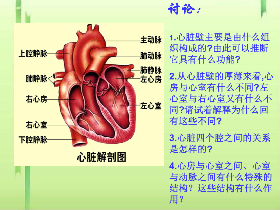 心脏课件-课件.ppt_第3页