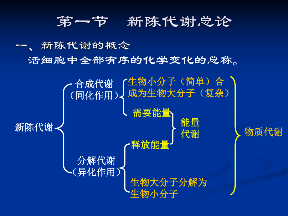 新陈代谢与生物氧化讲解课件.ppt_第2页