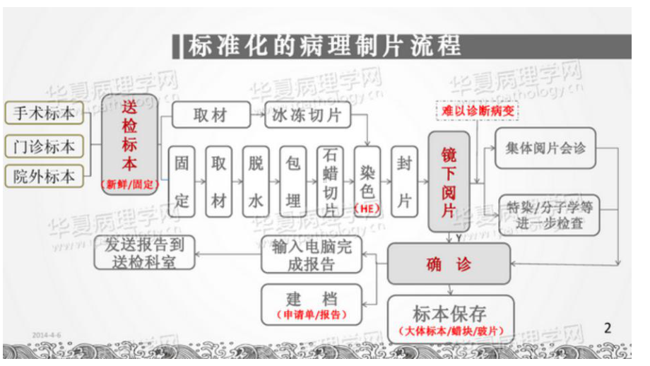 标准病理制片流程课件.ppt_第2页