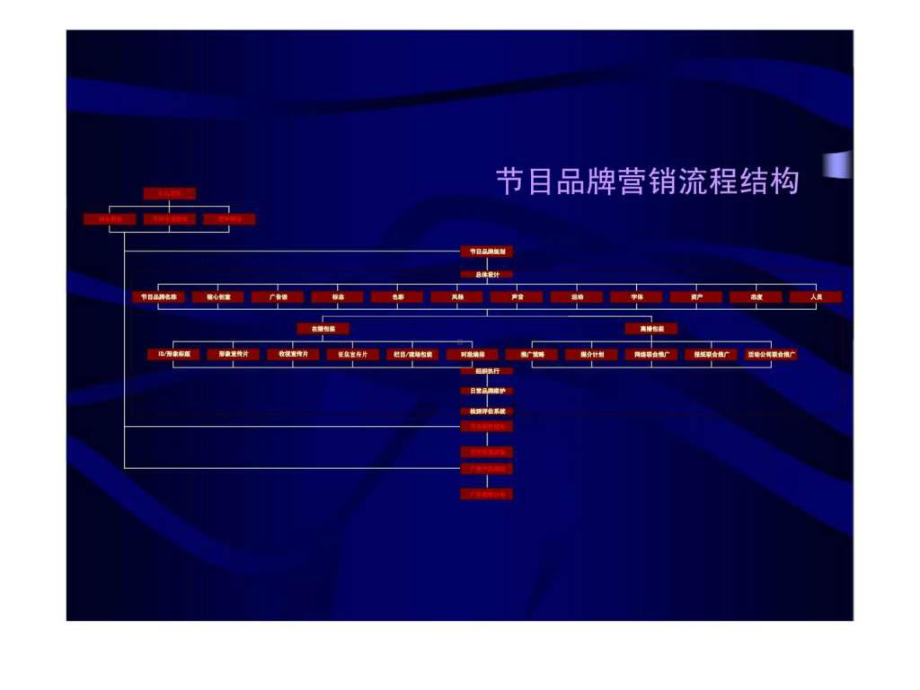 最新AD魅影江西卫视明日广告之星品牌营销规划提案课件.ppt_第2页