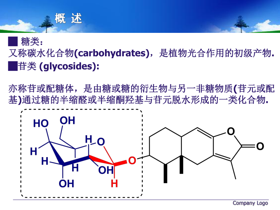 最新-天然药物化学糖和苷-课件.ppt_第3页