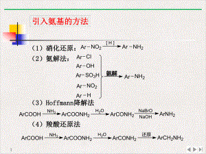 氨解反应标准课件.pptx