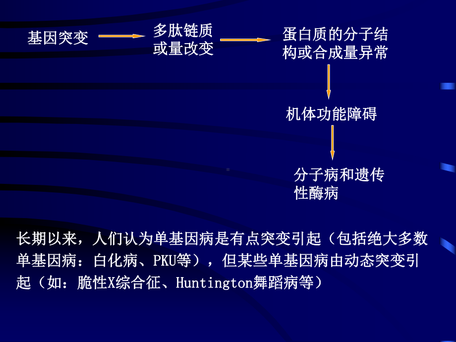 生化遗传学课件.pptx_第3页