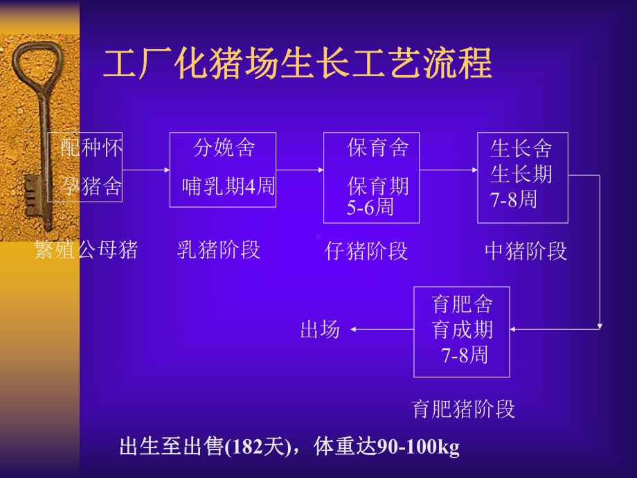 猪在热应激期间的饲养与管理要点课件.ppt_第2页