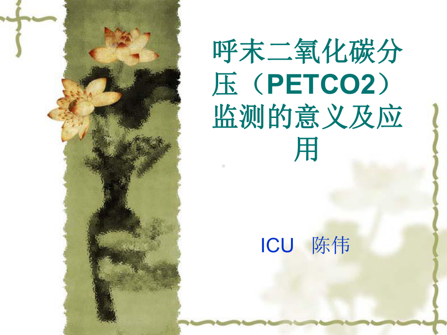 呼末二氧化碳分压课件.ppt_第1页