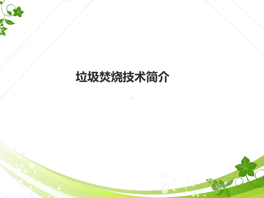 垃圾焚烧技术介绍培训讲解课件.ppt_第1页