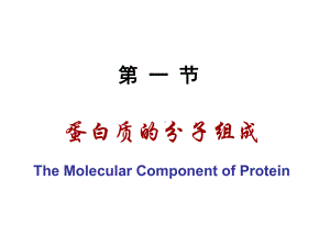 生物化学课件第1章蛋白质的结构与功能.ppt