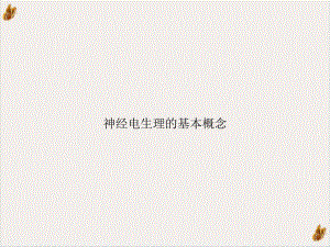 神经电生理的基本概念课件.ppt